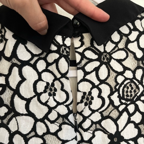 Nanette Lepore Black and White Lace Collared Shift Dress, SZ 12 EUC - Picture 8 of 8